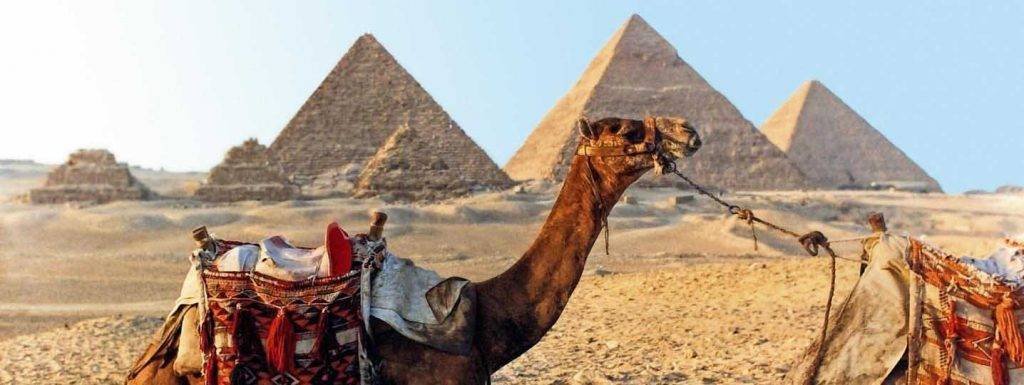 Tour Por Egipto