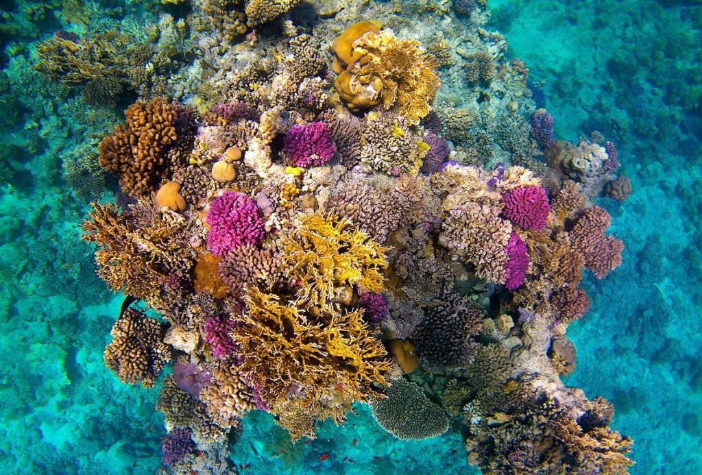 Viaje a Egipto y Mar Rojo Hurghada