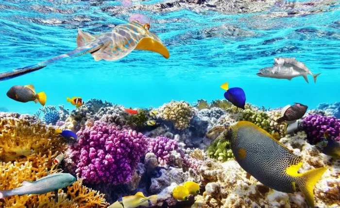Viaje a Egipto, Sharm El Sheikh y Jordania