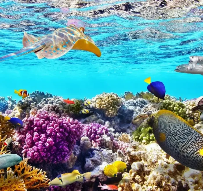 Viaje a Egipto, Sharm El Sheikh y Jordania